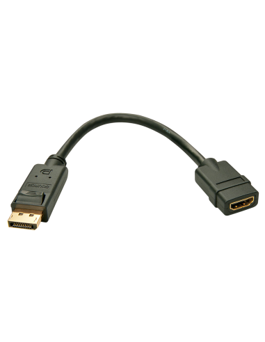 Adattatore display port/HDMI m a hmdi f