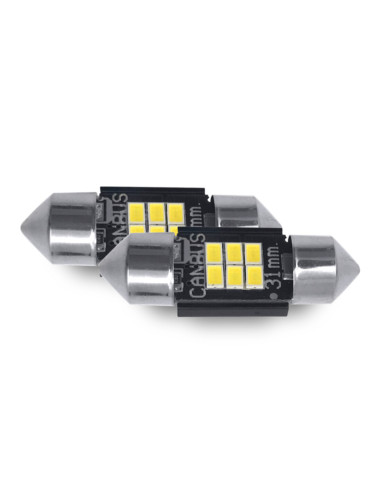 Lampadina LED targa 31mm