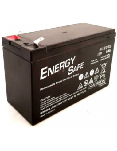 Batteria al piombo 12V 100Ah energy safe