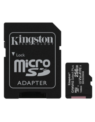Micro SD 256gb (SIAE inclusa)