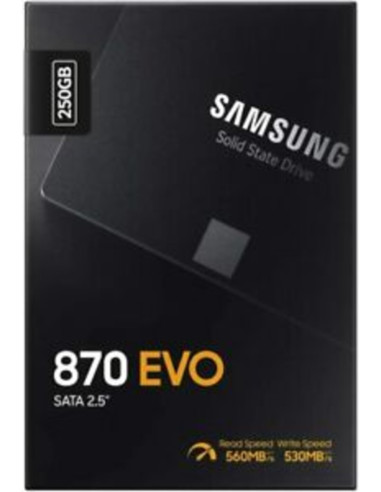 Solid state disk SSD 250GB sata3 870 evo (SIAE inclusa)