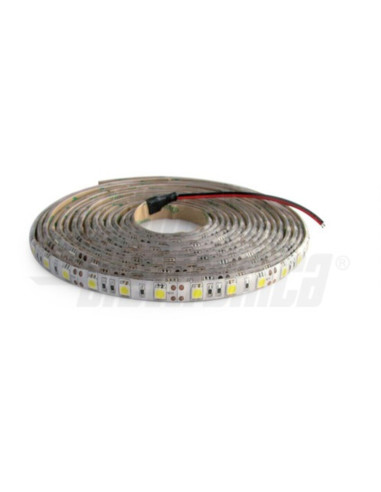Striscia LED 60l/m 5050 12V 14,4w/m IP65 blu