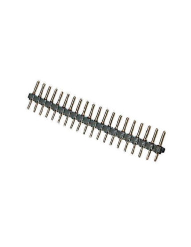 Strip tulipano maschio maschio