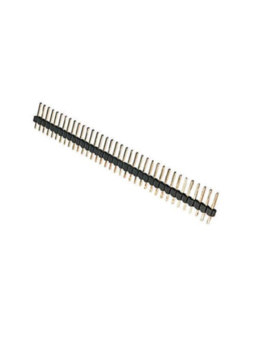 Strip maschio dorate 1x40p dritto
