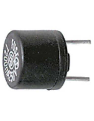 Microfusibile t 2,5A  250V   p5.08