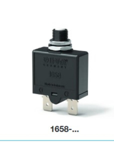 Disgiuntore 1658-G21-02-P10-5A