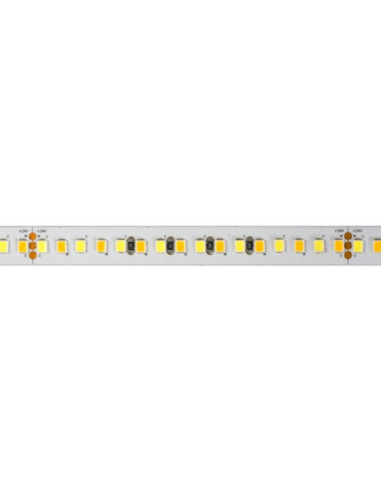 Striscia LED 24V 28W/m 2700k-6000k ip20