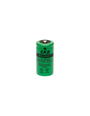 Batteria NiMH C 3000mAh polo consumer