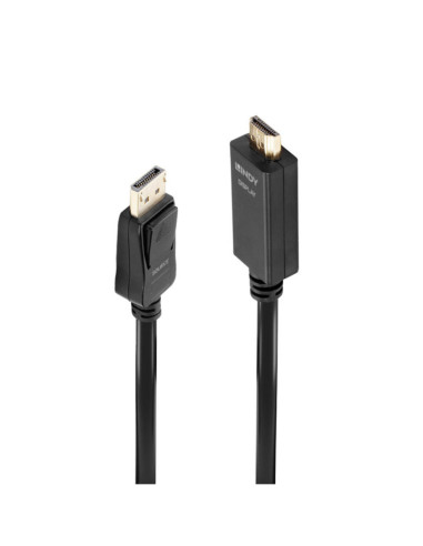 Cavo convertitore DisplayPort a HDMI 1m
