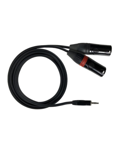 Cavo audio da mini-jack 3,5mm stereo a 2x XLR maschio 3 metri