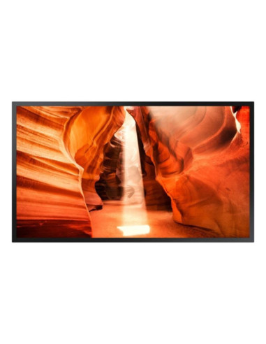 Monitor LED 55 pollici 2500mc smart om55