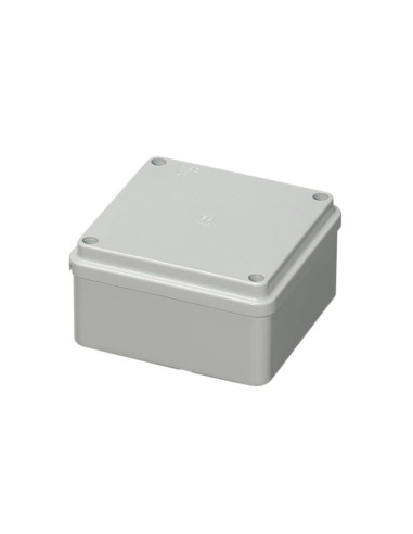 Cassetta IP56 p. lisce cop.vite 100x100x 50
