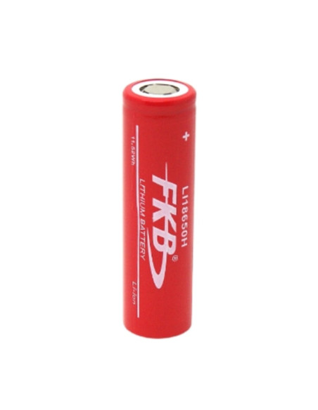 Batteria litio 3,6V 2600mAh polo piatto Vcar: 4,2V - Acar: 1300mA - Asca: 5200mA