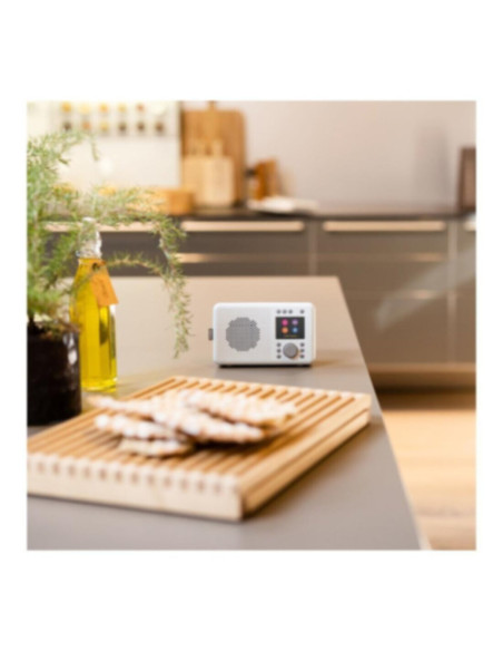 Radio Pure ELAN Connect Stone grey
