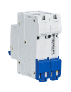 Interruttore magnetotermico 10kA 2p 6A Curva C 2