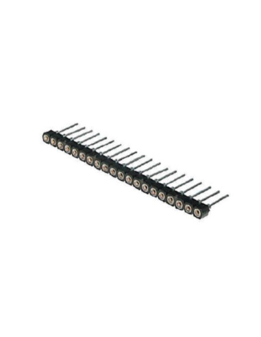 Strip tulipano 32 poli da c.s.