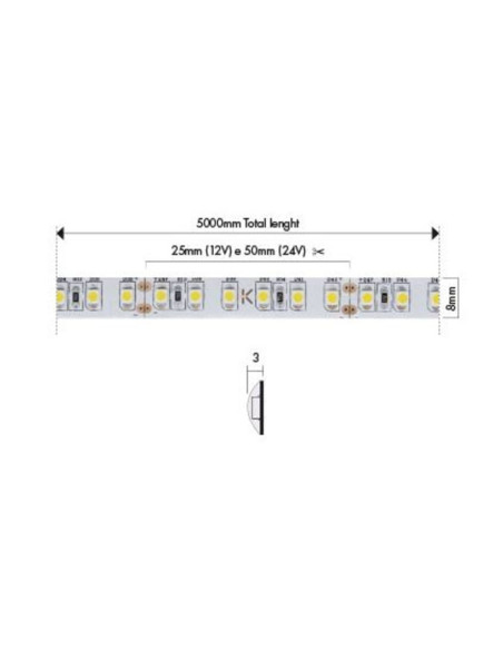 Bobina 600 LED 3528 9,6w/m ln IP64 12V