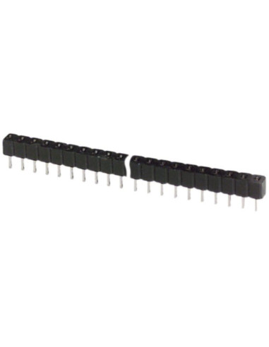 Connettore femmina 40 poli 2.54mm