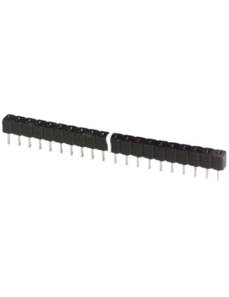 Connettore femmina 40 poli 2.54mm