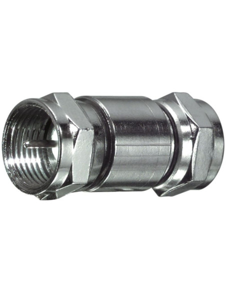 Adatt. spina f - spina f