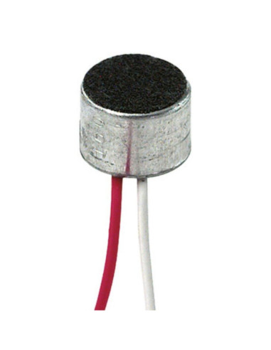 Capsula micr. a cond. pream. fili