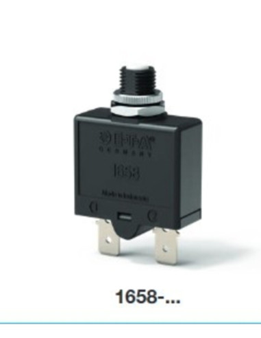 Disgiuntore 1658-G21-02-P10-25A