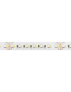 Striscia LED 24Vcc 19,2W/m RGB + 6000k ip20 10mm 224 led/m