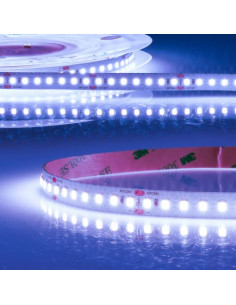 Striscia LED 24Vdc 14,4W/m per pesce IP20 1900Lm/m 140...