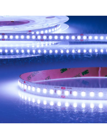 Striscia LED 24Vdc 14,4W/m per pesce IP20 1900Lm/m 140 led/m 10mm