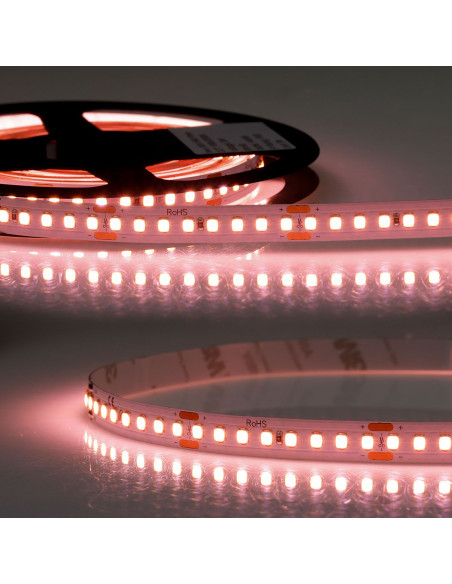 Striscia LED 24Vdc 12,5W/m per carne ip20 160led/m 1250lm/m 10mm