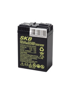 Batteria al piombo 6V  4,5Ah poli ribassati