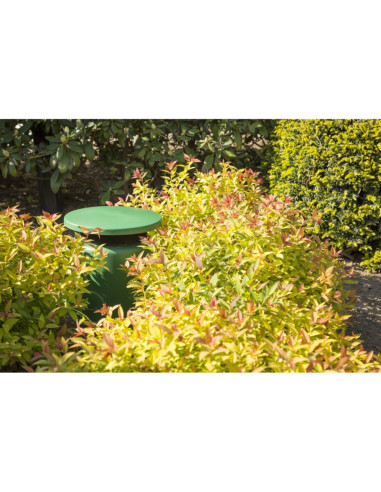 Dffusore da giardino IPX5 30W 100V colore verde