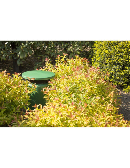 Dffusore da giardino IPX5 30W 100V colore verde