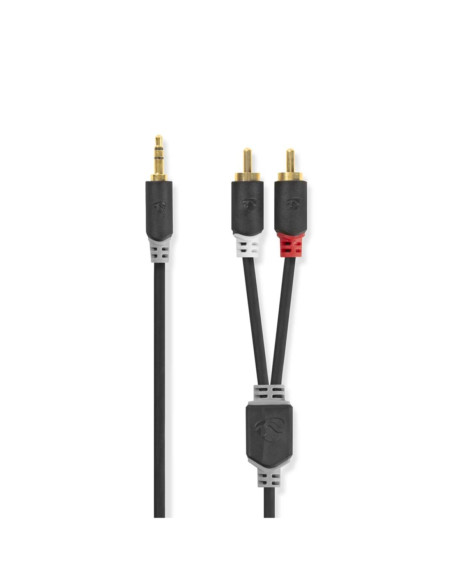 Cavo jack 3,5st a 2xspine rca maschio 5m