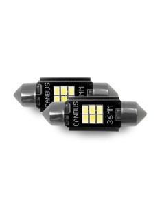 Lampadina LED targa 36mm