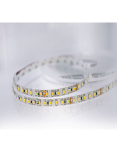 Striscia LED 24V 12w/m 120led/m 5m 3528 cw