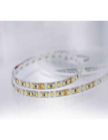 Striscia LED 24V 12w/m 120led/m 5m 3528 cw