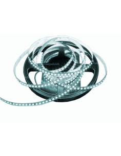 Striscia LED 24V 7,2W/m 30led 5050 cw bianco freddo