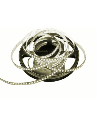 Striscia LED 24V 14,4w/m 60led/m 5m bianco...