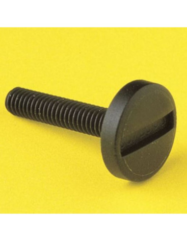 Vite a testa cilindrica tipo 1 4x10 nylon bianco