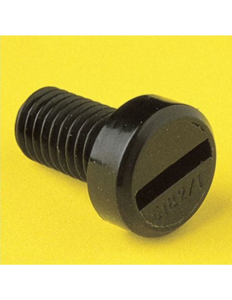 Vite a testa cilindrica tipo 4 3x6 nylon neutro pa 66