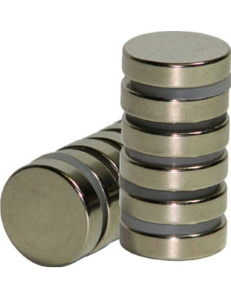 Magnete in neodimio MNDIAM029008T (fino a 140°)