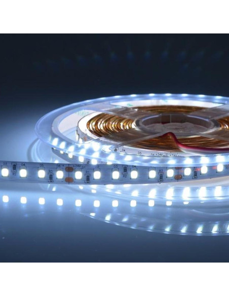 Strip LED 24V 18W/m IP65 5000K rolla 5m