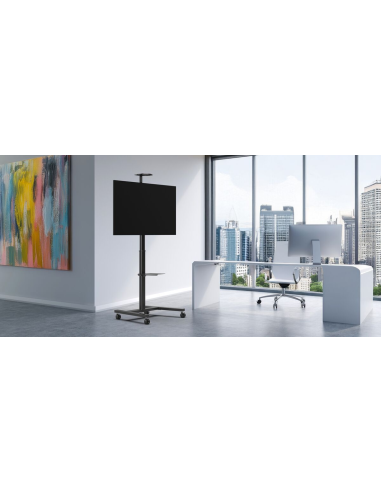Trolley per schermo VESA 60x40 h max 170cm 50Kg