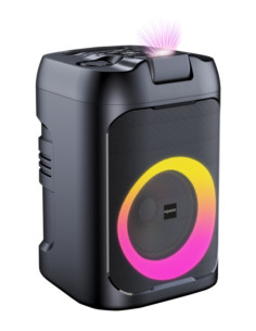 Speaker party IR-PS60 60W con LED e laser RGB
