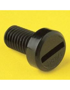 Vite nylon a testa cilindrica Tipo 4  colore neutro M3 15mm