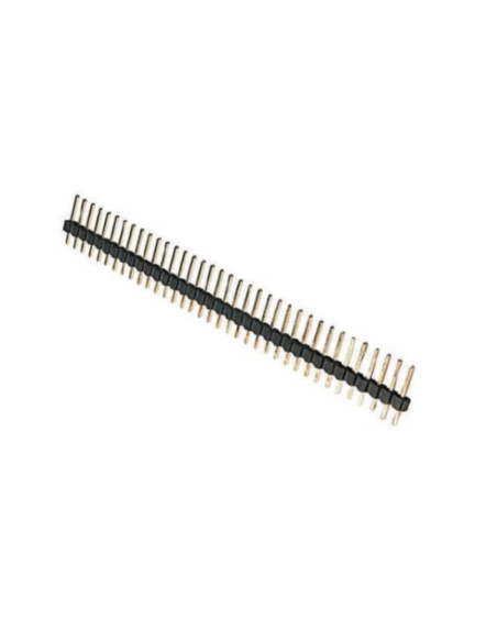 Strip maschio dorate 1x40p dritto