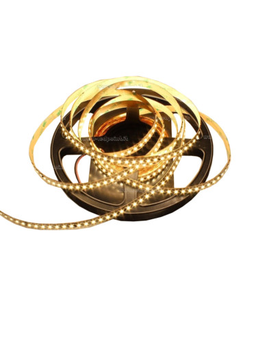 Striscia LED 24V 60led/m 14,4w/m IP65 LED