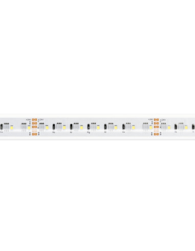 Striscia LED 24Vdc 19,2W/m RGB+4000k ip68 1100lm/m