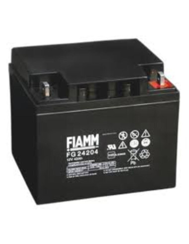 Batteria al piombo Fiamm FG 12V  42Ah